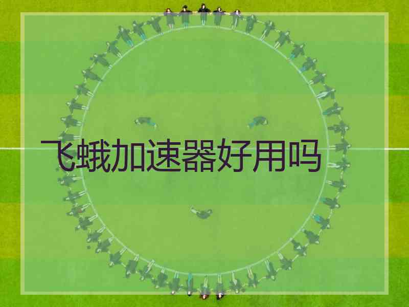 飞蛾加速器好用吗