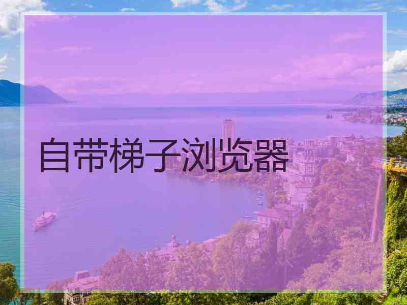 自带梯子浏览器