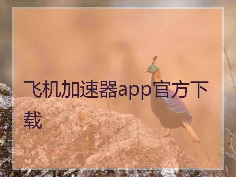 飞机加速器app官方下载