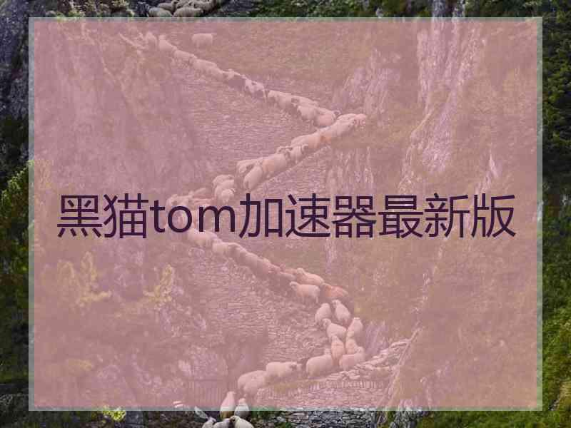 黑猫tom加速器最新版
