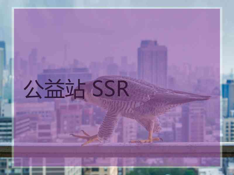 公益站 SSR