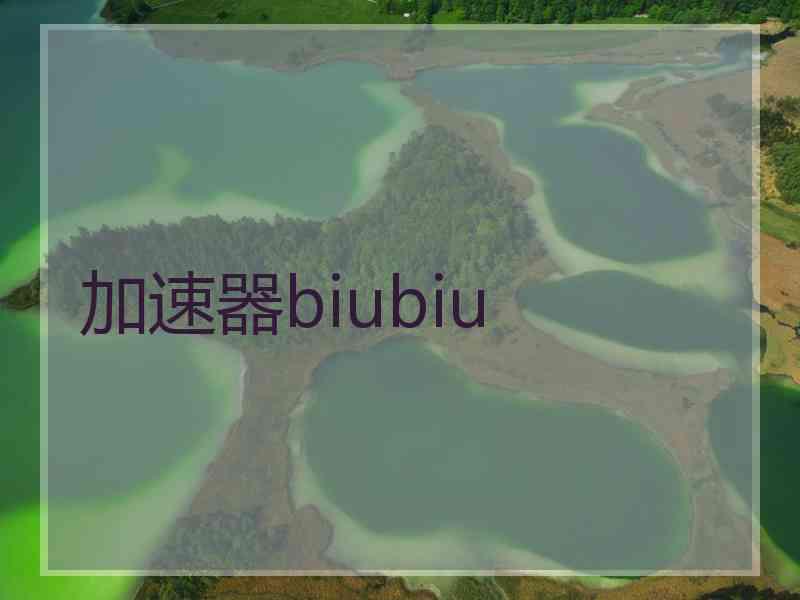 加速器biubiu
