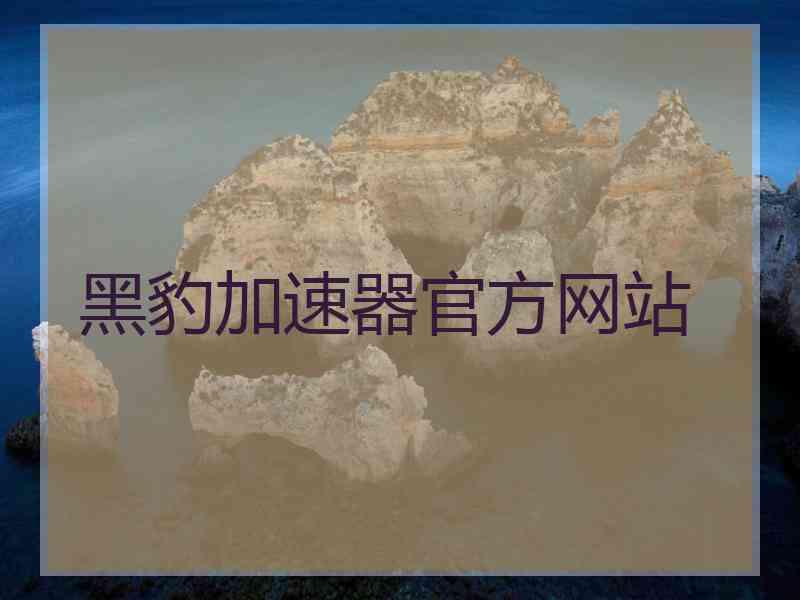 黑豹加速器官方网站