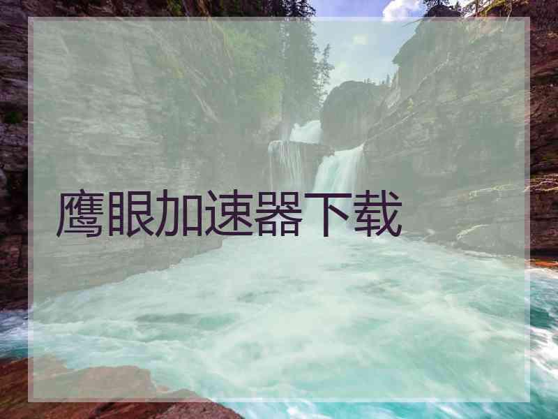 鹰眼加速器下载