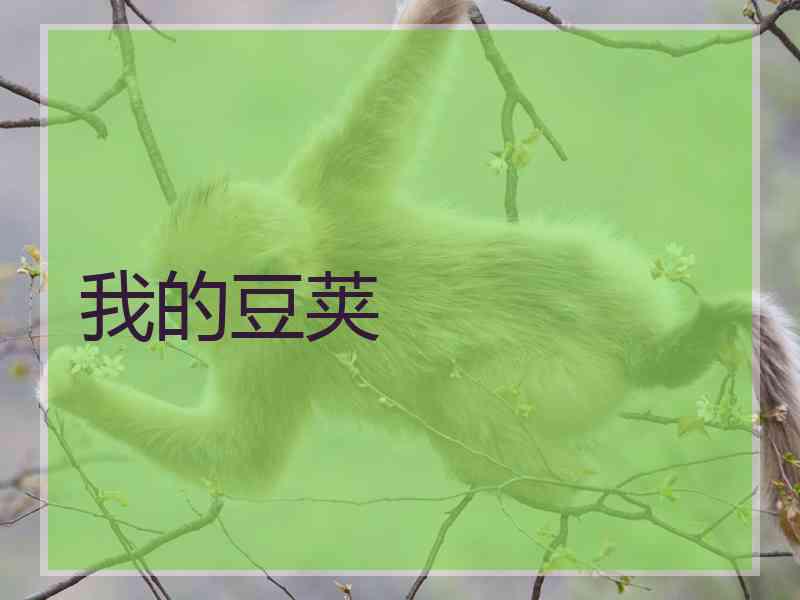 我的豆荚