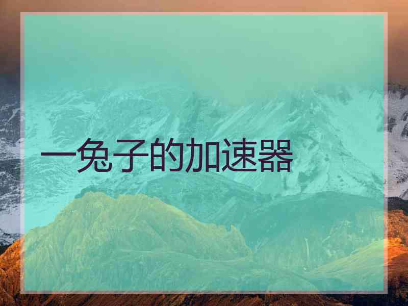 一兔子的加速器
