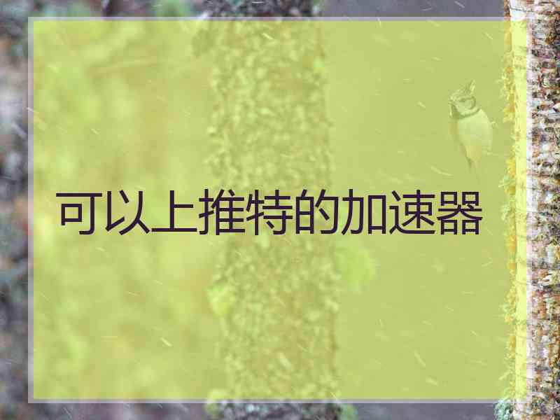 可以上推特的加速器