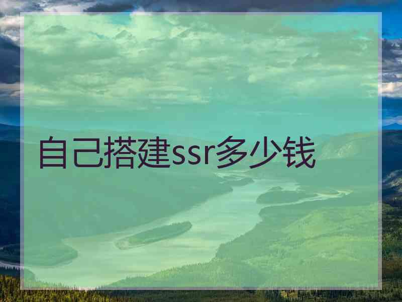 自己搭建ssr多少钱