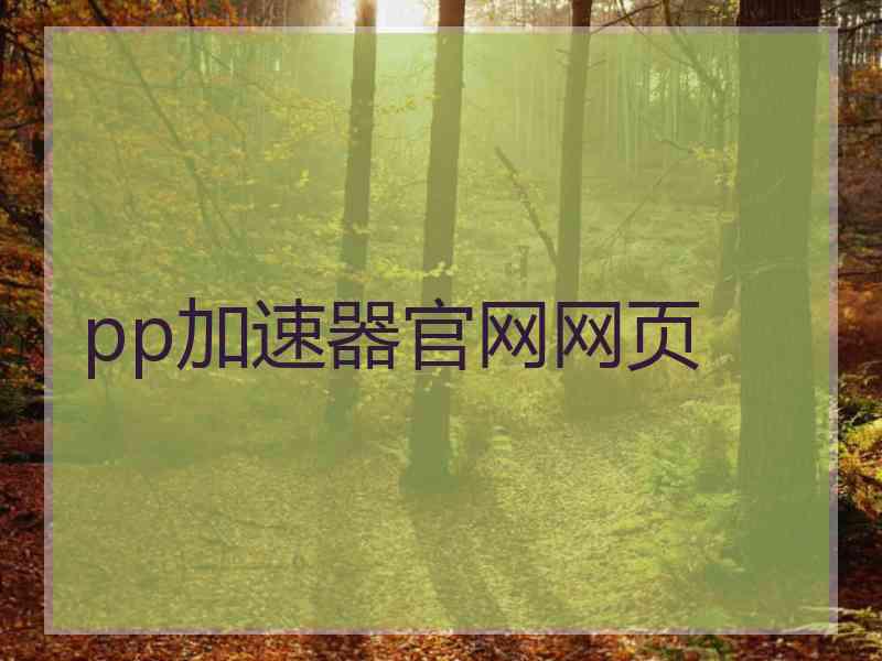 pp加速器官网网页