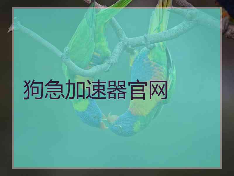狗急加速器官网