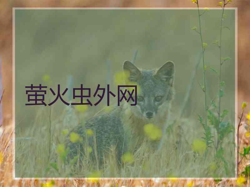 萤火虫外网