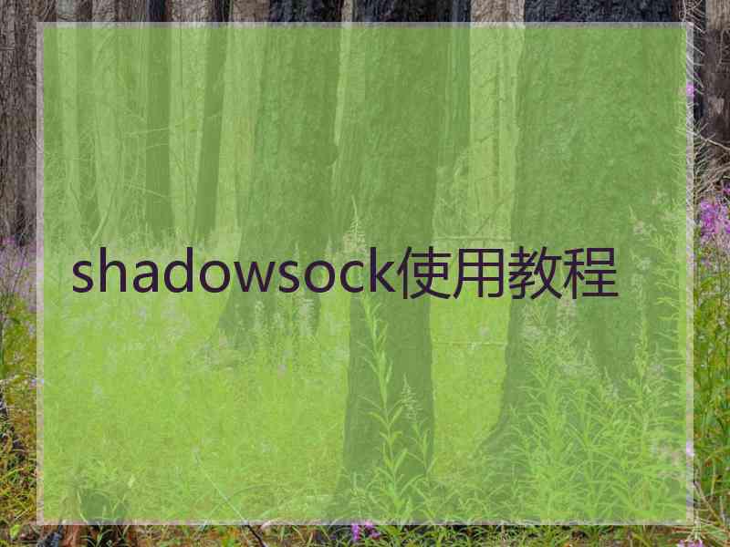shadowsock使用教程