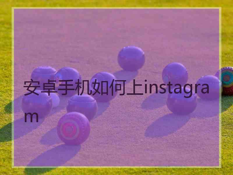 安卓手机如何上instagram