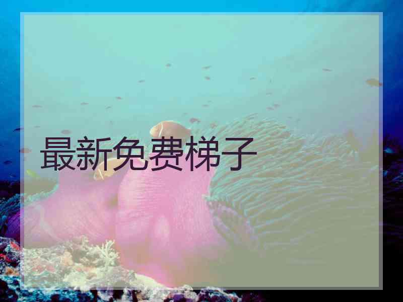 最新免费梯子