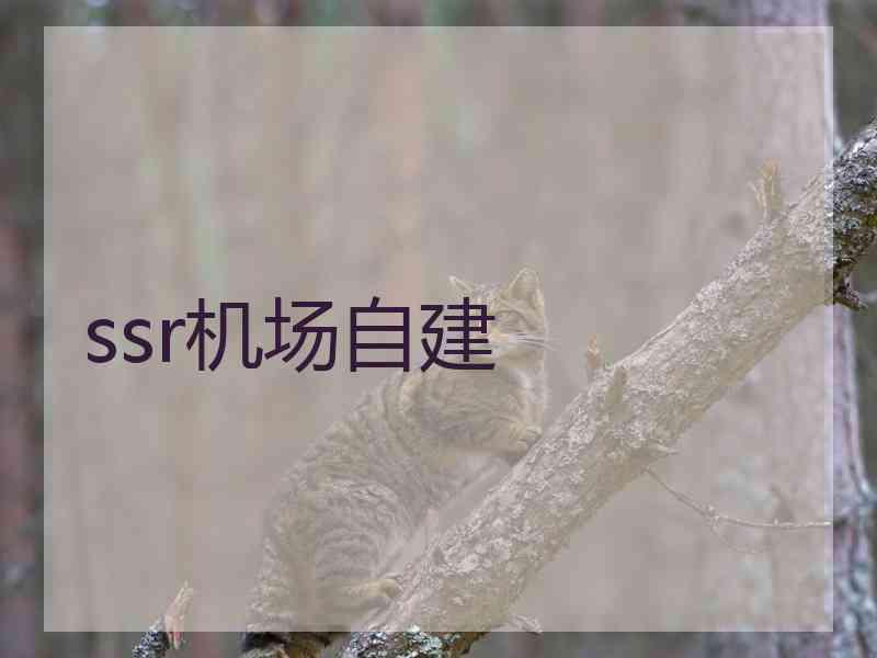 ssr机场自建