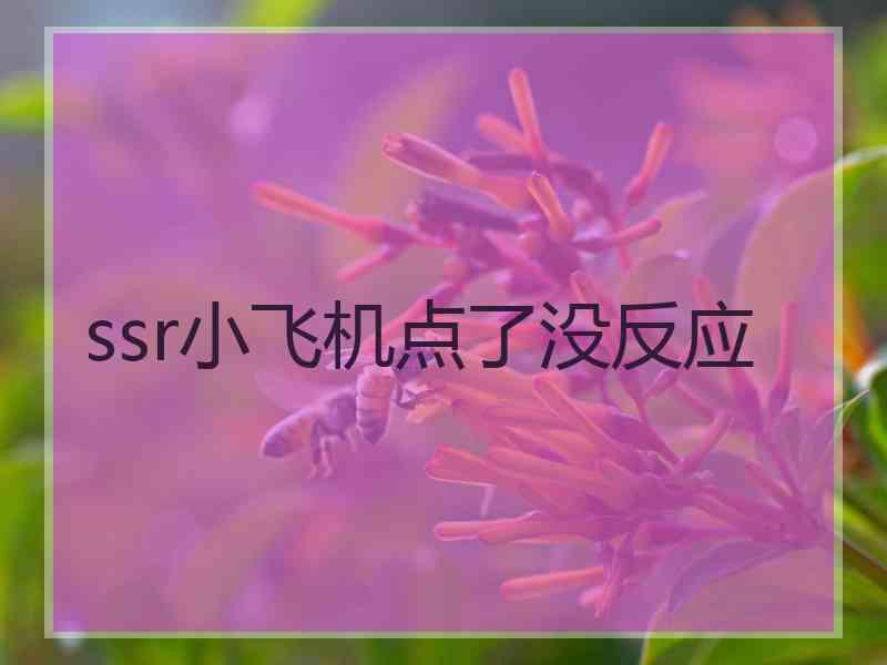 ssr小飞机点了没反应