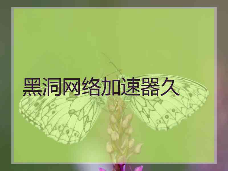 黑洞网络加速器久