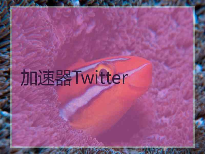 加速器Twitter