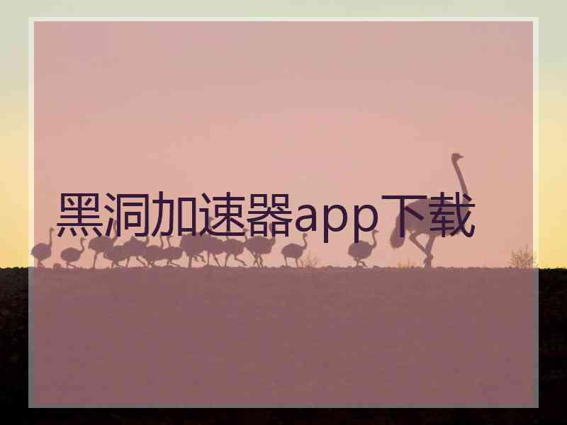 黑洞加速器app下载