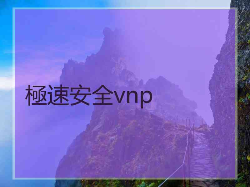 極速安全vnp