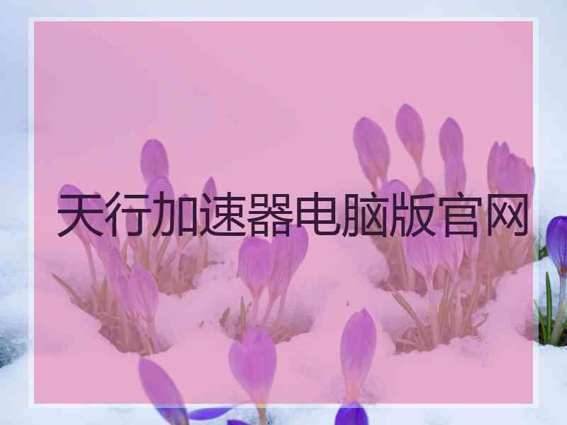 天行加速器电脑版官网