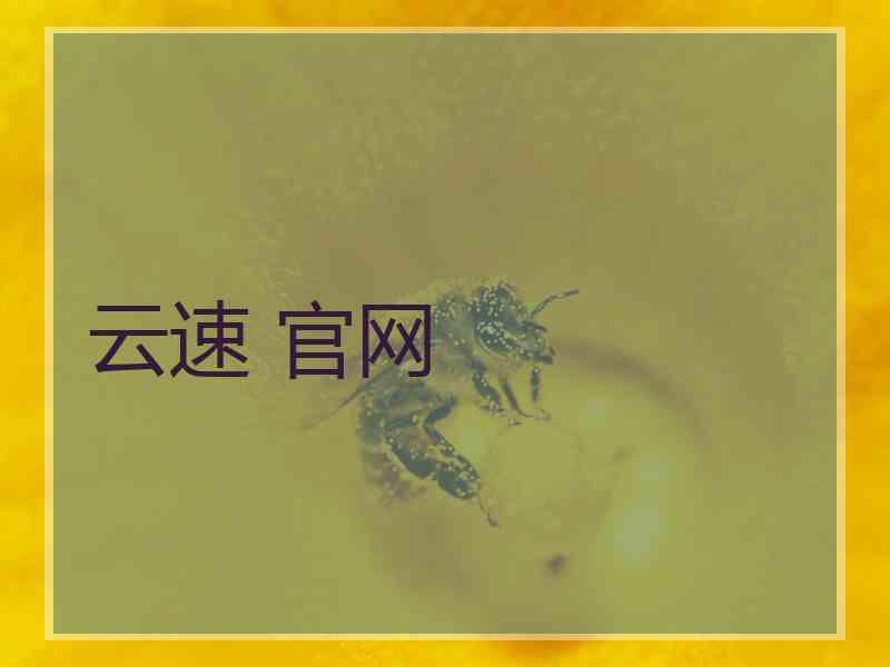 云速 官网