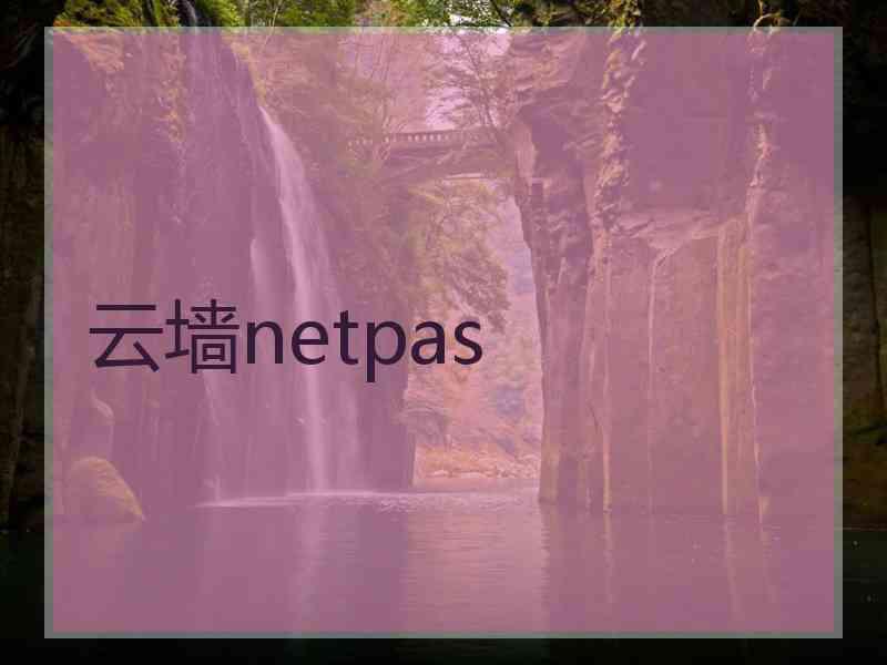 云墙netpas