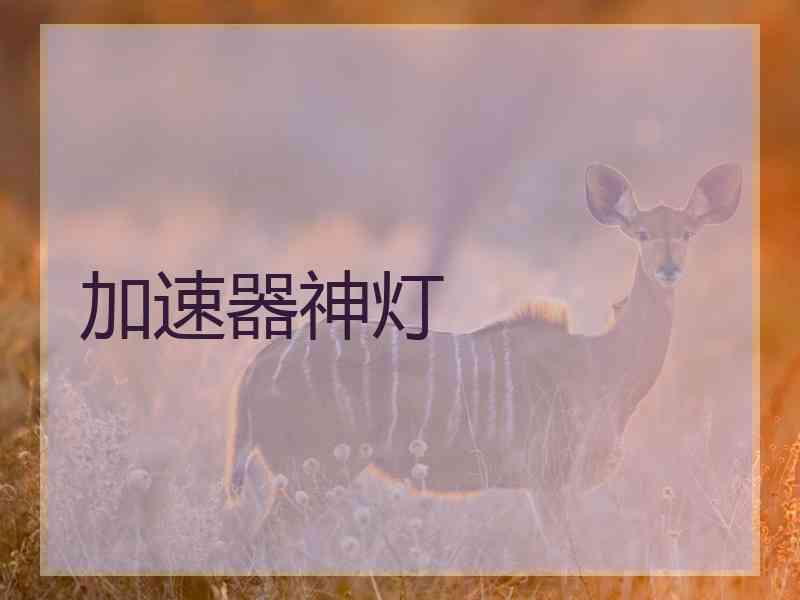 加速器神灯