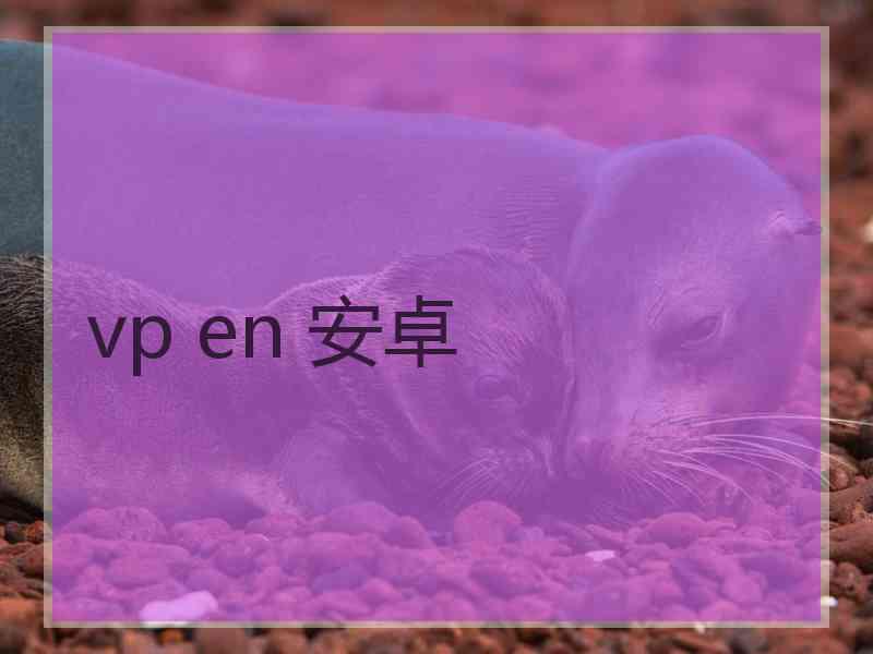 vp en 安卓