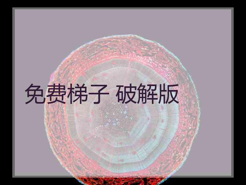 免费梯子 破解版