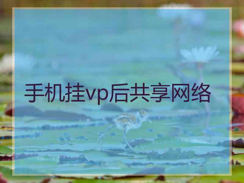 手机挂vp后共享网络