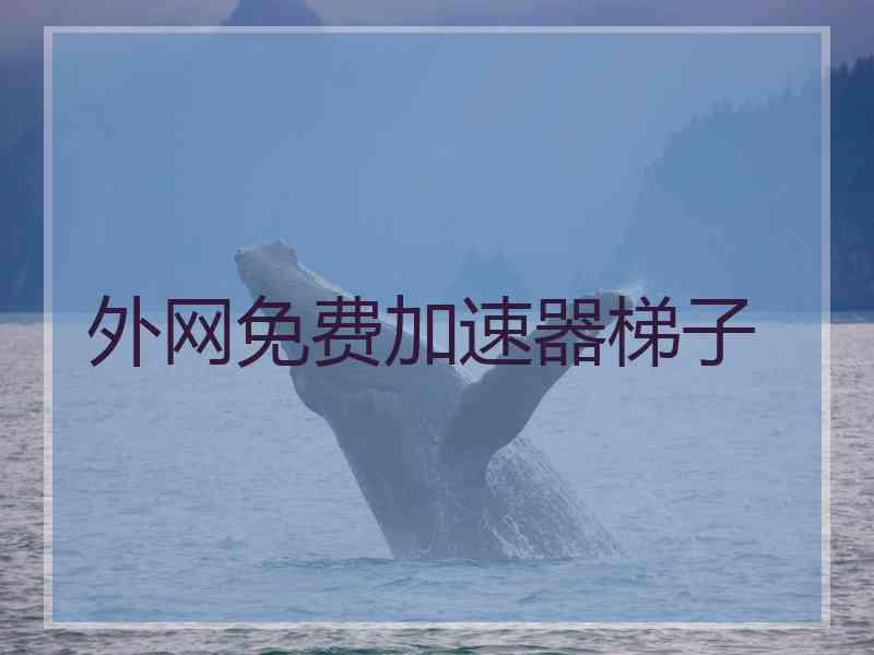 外网免费加速器梯子