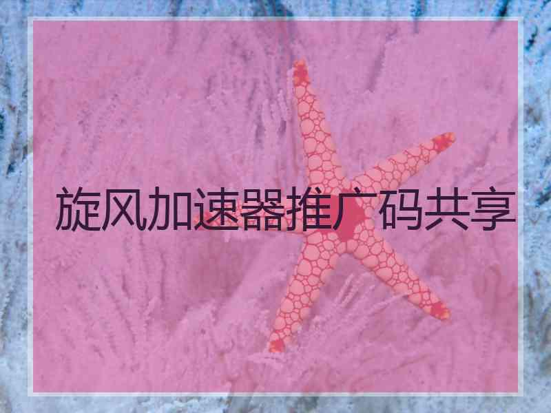 旋风加速器推广码共享