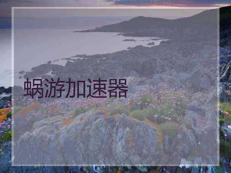 蜗游加速器