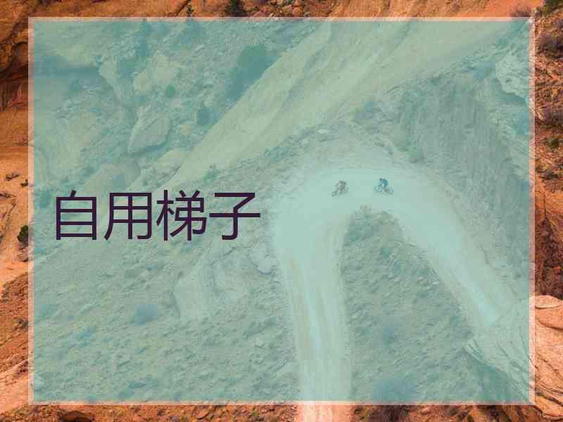 自用梯子
