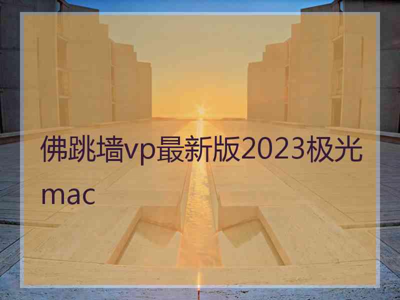 佛跳墙vp最新版2023极光 mac