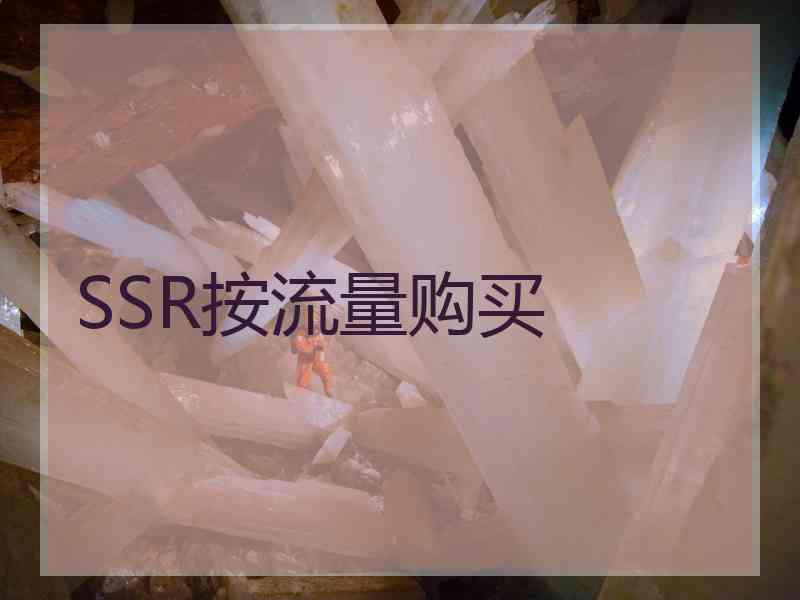 SSR按流量购买