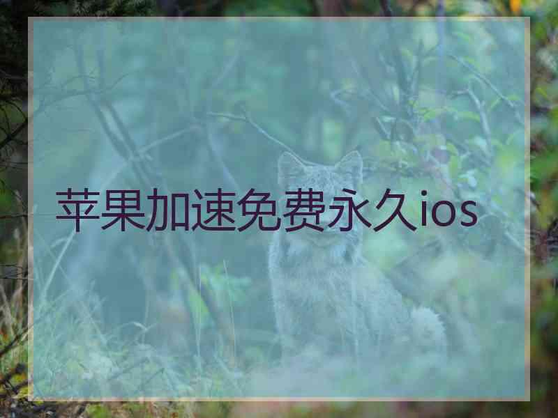 苹果加速免费永久ios
