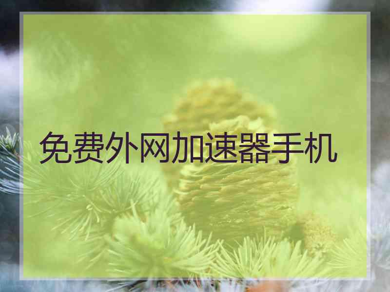 免费外网加速器手机