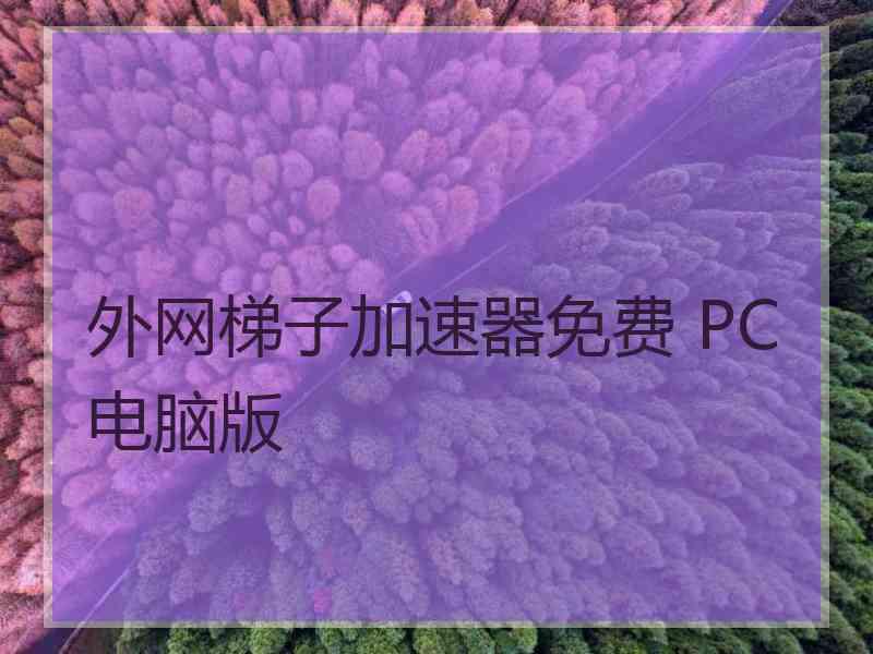 外网梯子加速器免费 PC电脑版