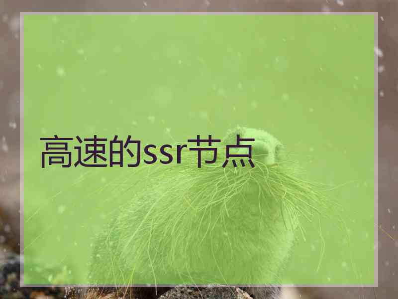 高速的ssr节点
