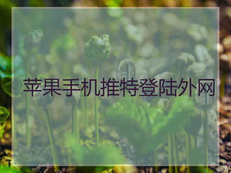 苹果手机推特登陆外网