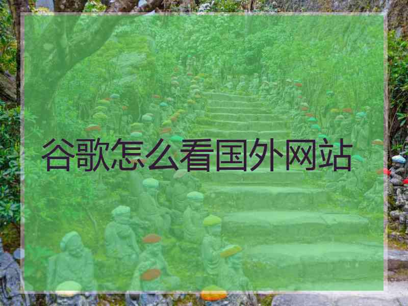 谷歌怎么看国外网站