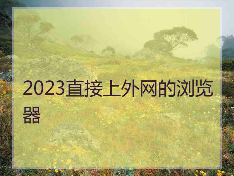 2023直接上外网的浏览器