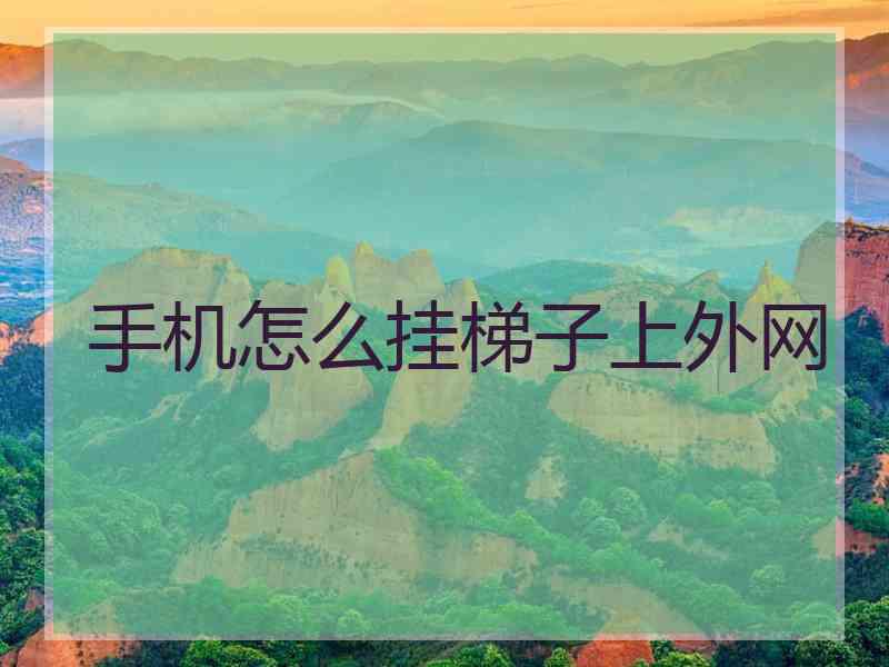 手机怎么挂梯子上外网