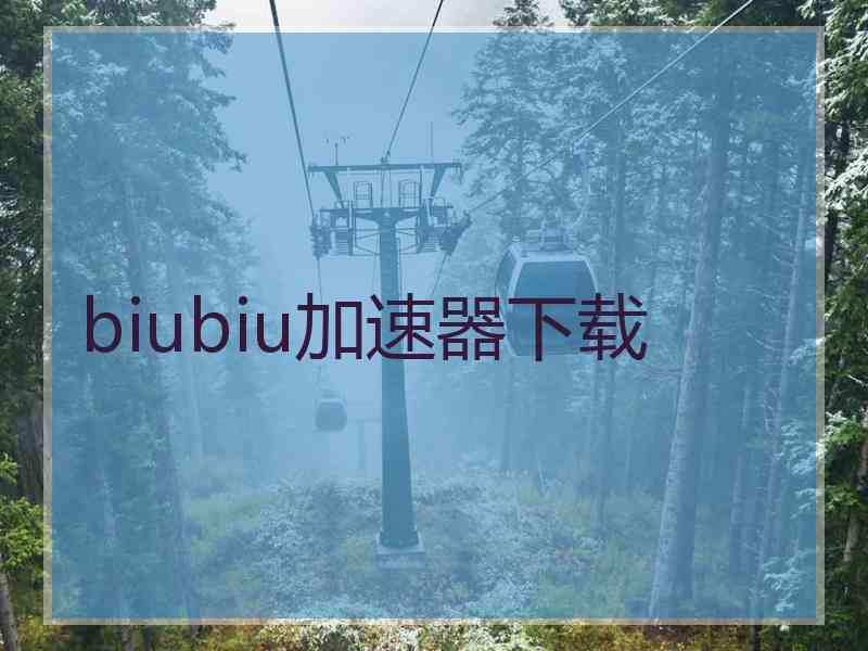 biubiu加速器下载