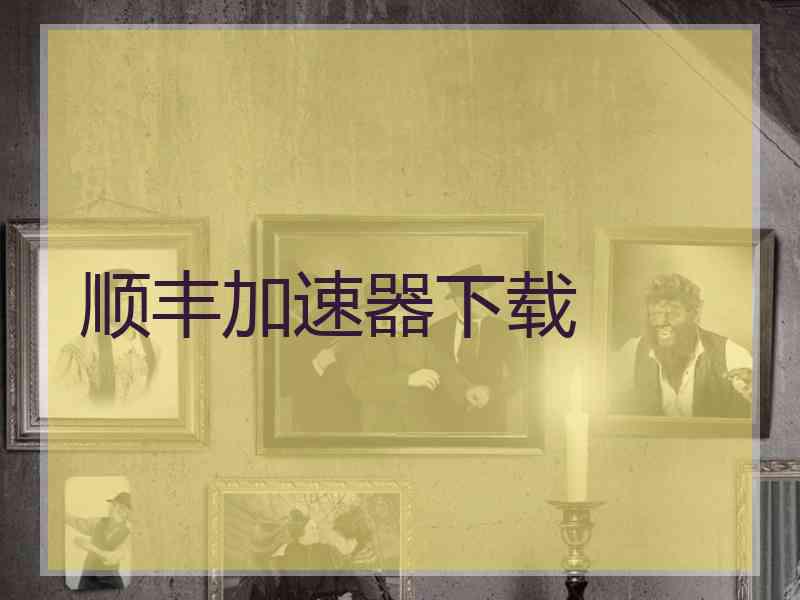 顺丰加速器下载