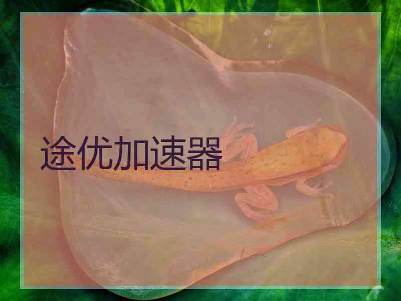 途优加速器