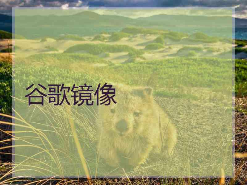 谷歌镜像