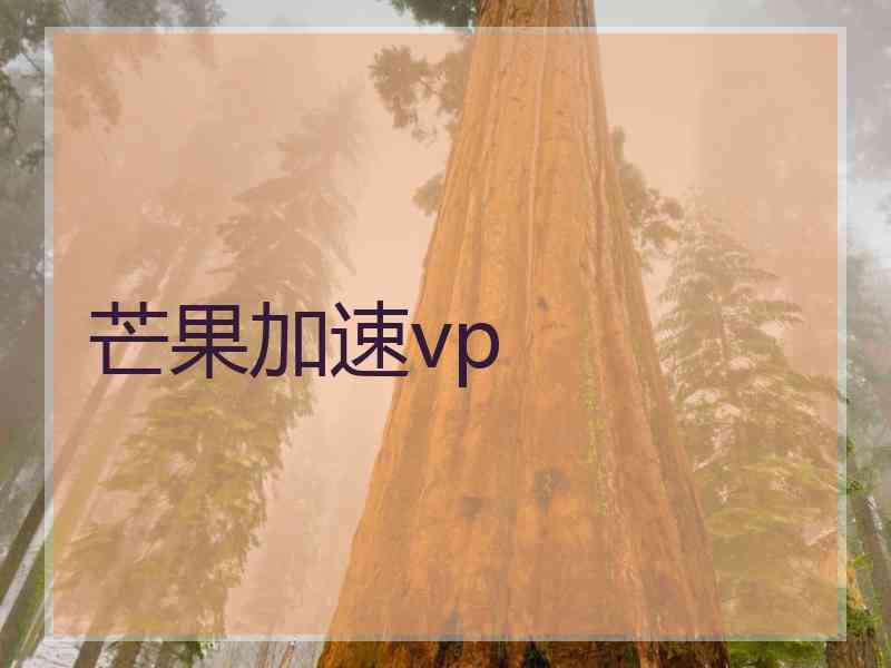 芒果加速vp